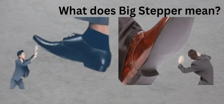 What Does Big Stepper Mean 
